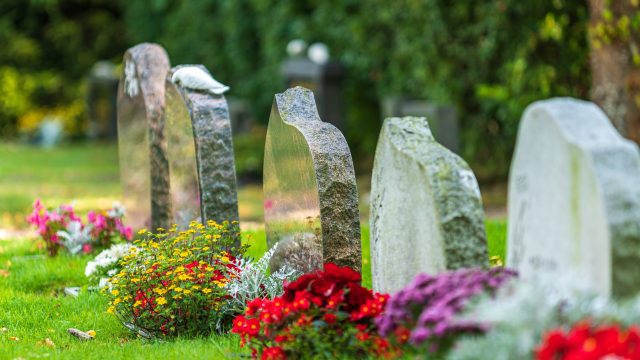 Beautiful summer view of a row of gravestones decorated with colorful flowers at a well cared cemetery in Sweden